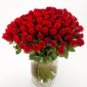 FIORI 100 punast roosi (50cm)