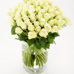 FIORI 100 valget roosi (80cm)