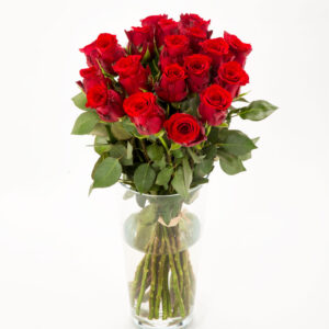 FIORI 20 punast roosi (50cm)