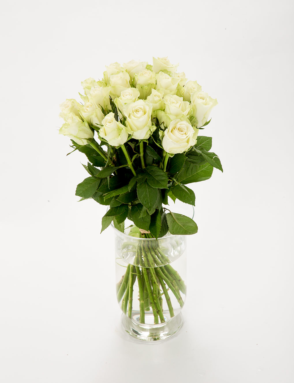 FIORI 20 valget roosi (50cm)