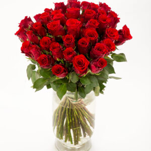 FIORI 40 punast roosi (50cm)