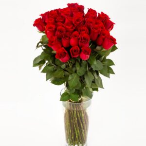 FIORI 40 punast roosi (70cm)