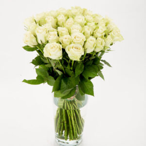 FIORI 40 valget roosi (50cm)