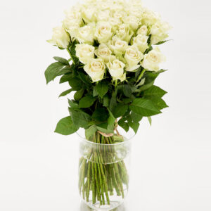 FIORI 40 valget roosi (70cm)