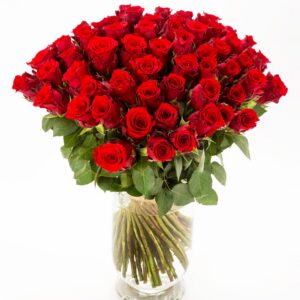 FIORI 60 punast roosi (50cm)