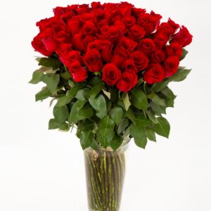 FIORI 60 punast roosi (70cm)