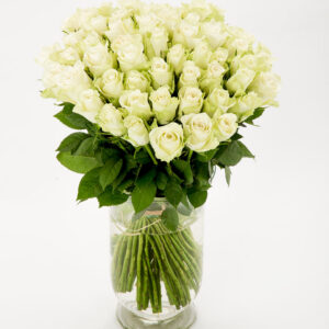 FIORI 60 valget roosi (50cm)