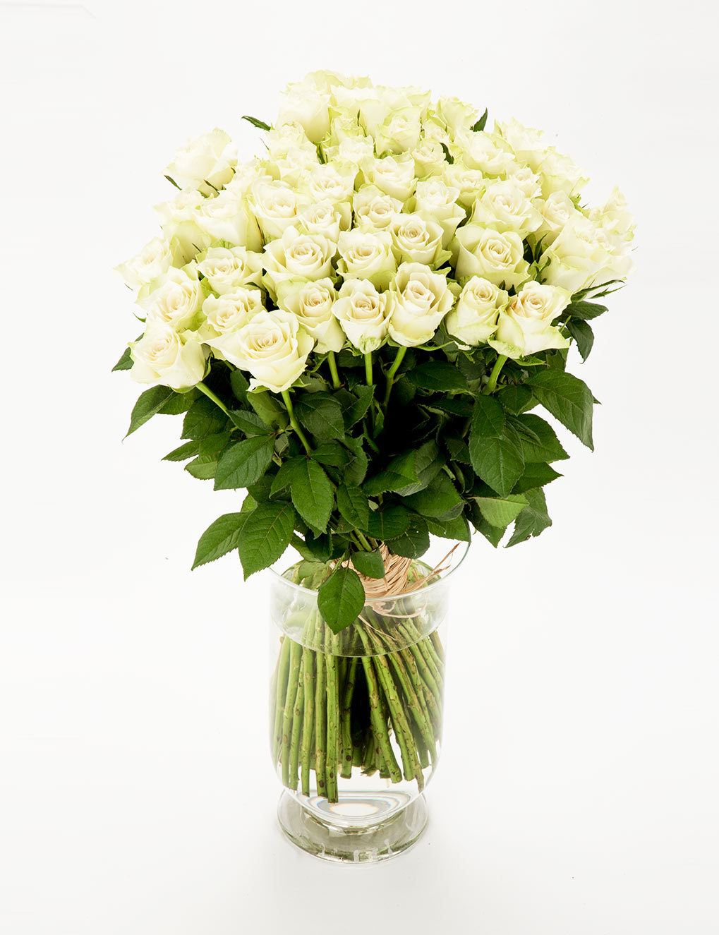 FIORI 60 valget roosi (70cm)